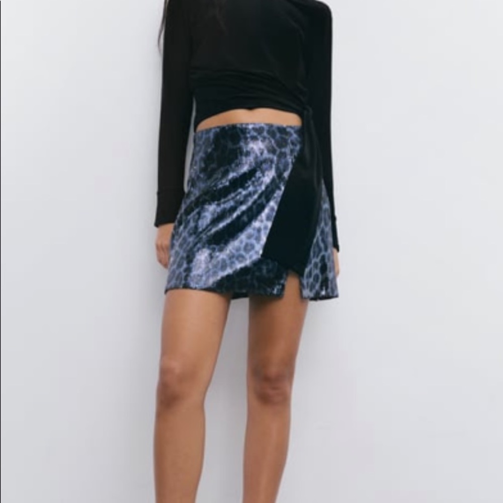 Zara sequin skirt